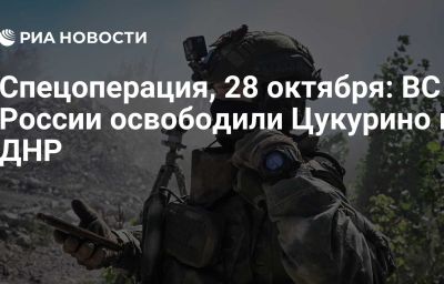 Спецоперация, 28 октября: ВС России освободили Цукурино в ДНР