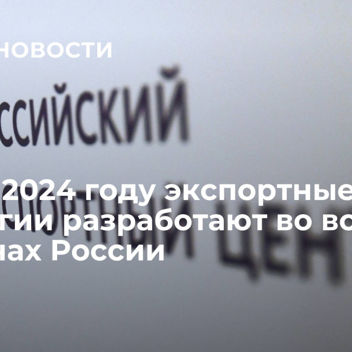 РЭЦ: в 2024 году экспортные стратегии разработают во всех регионах России