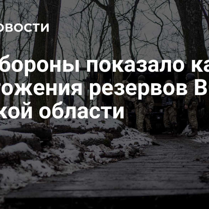 Минобороны показало кадры уничтожения резервов ВСУ в Сумской области