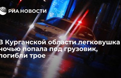 В Курганской области легковушка ночью попала под грузовик, погибли трое