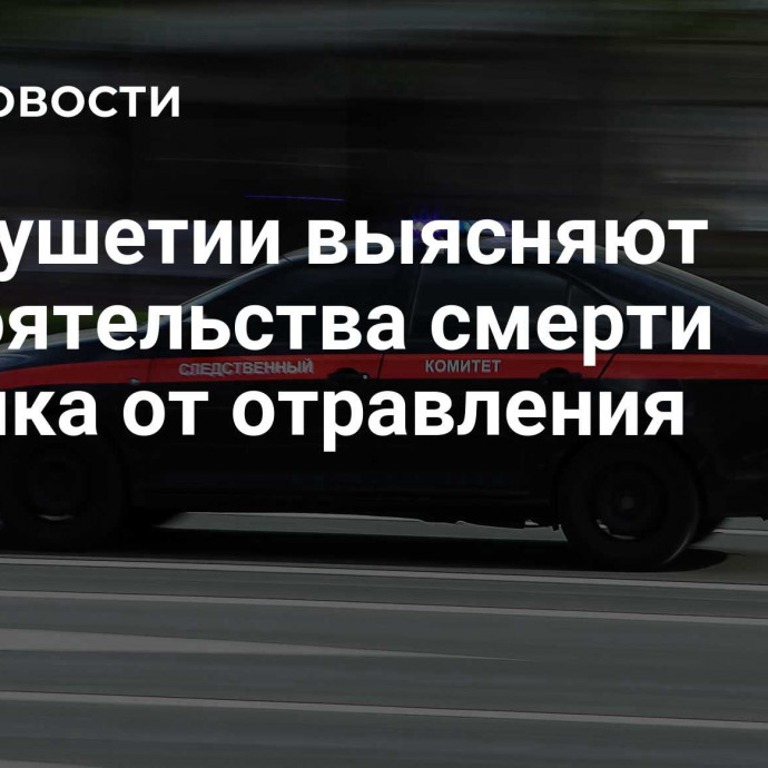 В Ингушетии выясняют обстоятельства смерти ребенка от отравления