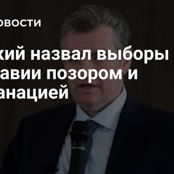 Слуцкий назвал выборы в Молдавии позором и профанацией