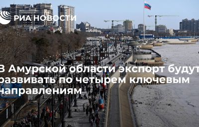 В Амурской области экспорт будут развивать по четырем ключевым направлениям