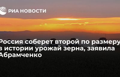 Россия соберет второй по размеру в истории урожай зерна, заявила Абрамченко