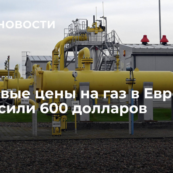 Биржевые цены на газ в Европе превысили 600 долларов