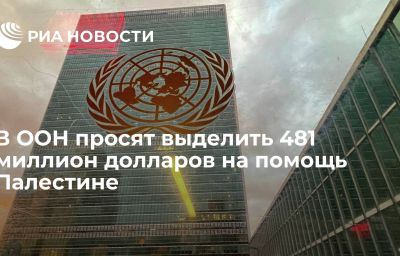 В ООН просят выделить 481 миллион долларов на помощь Палестине