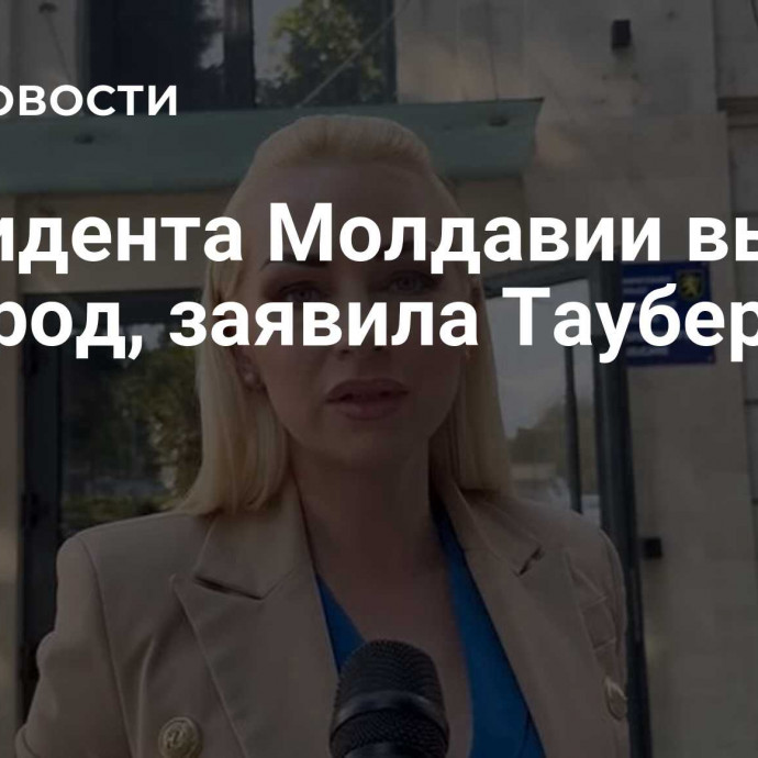 Президента Молдавии выбрал не народ, заявила Таубер