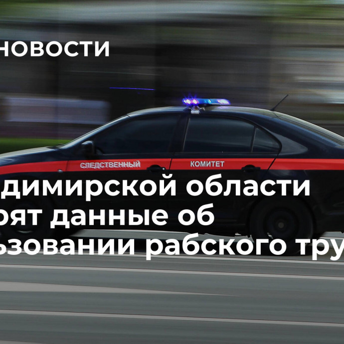 Во Владимирской области проверят данные об использовании рабского труда