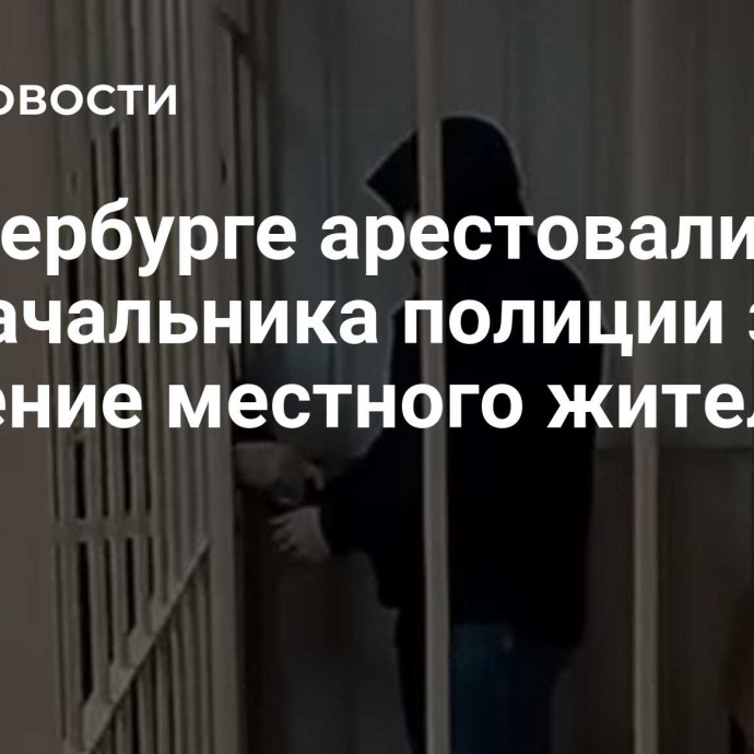 В Петербурге арестовали замначальника полиции за избиение местного жителя