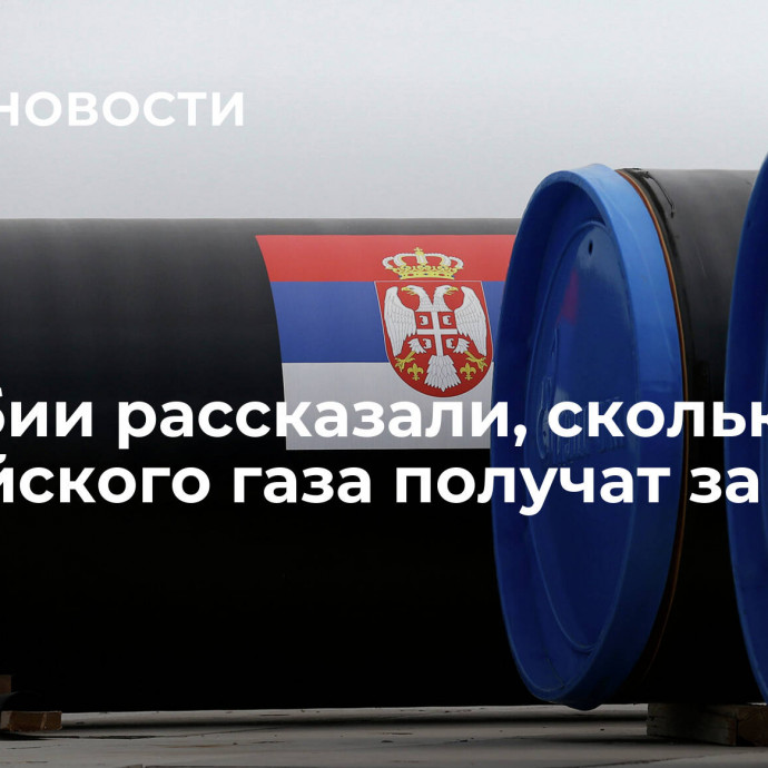 В Сербии рассказали, сколько российского газа получат за год