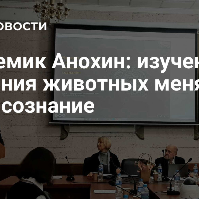 Академик Анохин: изучение сознания животных меняет наше сознание