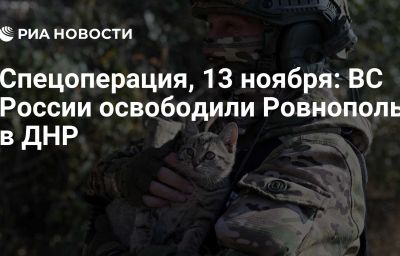 Спецоперация, 13 ноября: ВС России освободили Ровнополь в ДНР