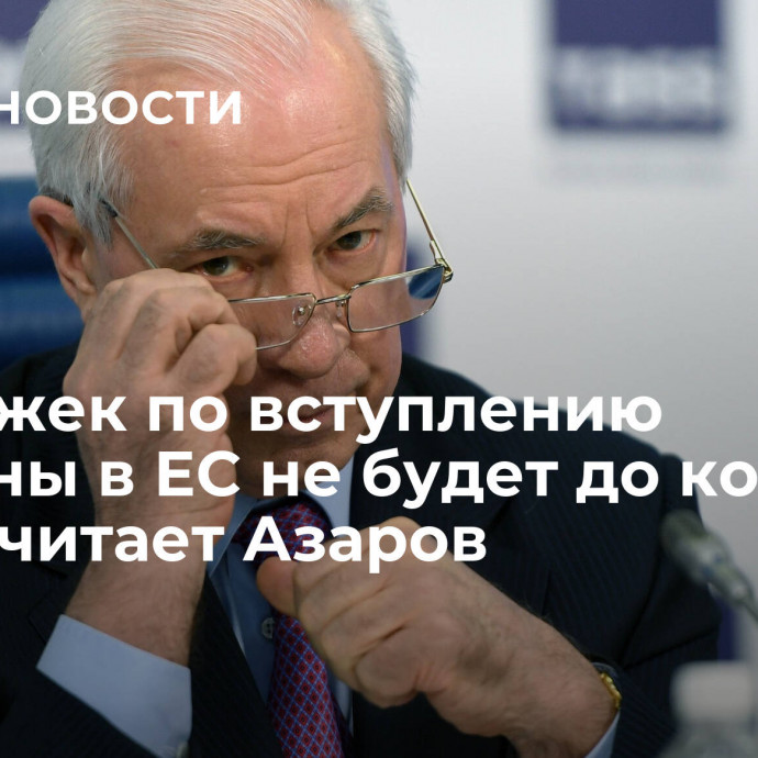 Подвижек по вступлению Украины в ЕС не будет до конца года, считает Азаров