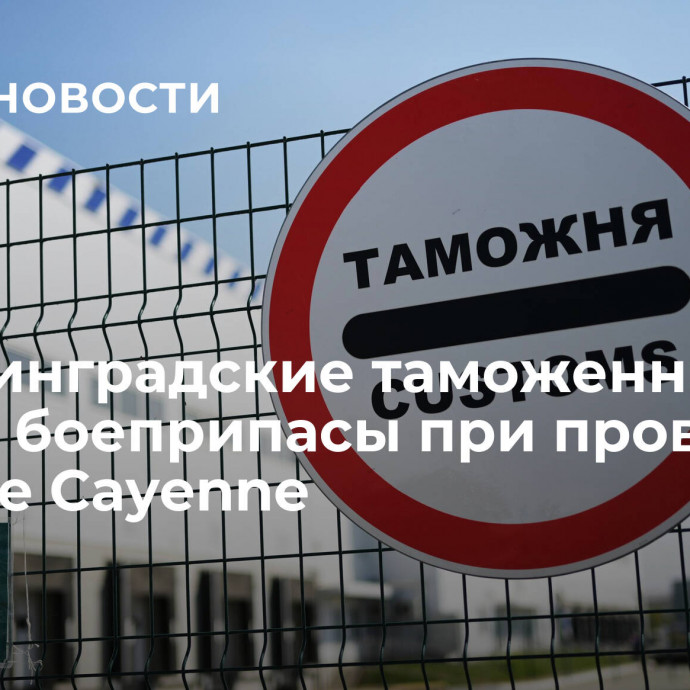 Калининградские таможенники нашли боеприпасы при проверке Рorsche Cayenne