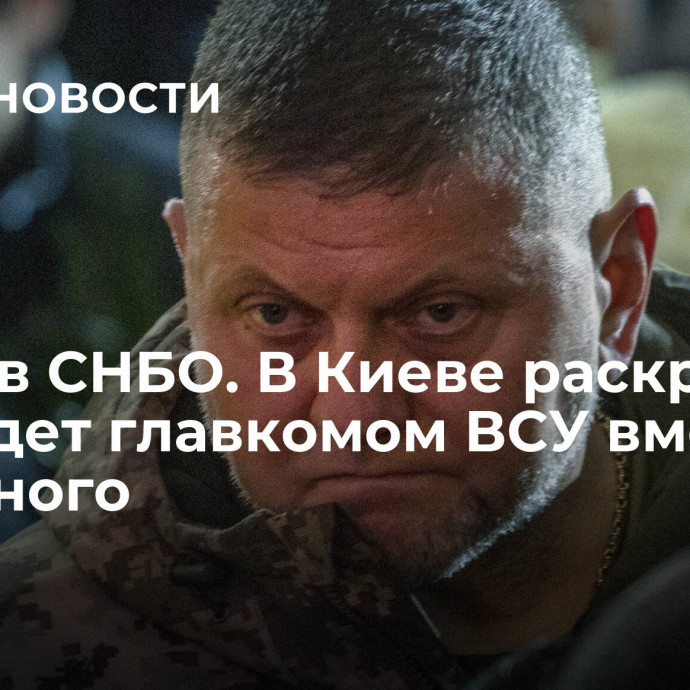 Уйдет в СНБО. В Киеве раскрыли, кто будет главкомом ВСУ вместо Залужного