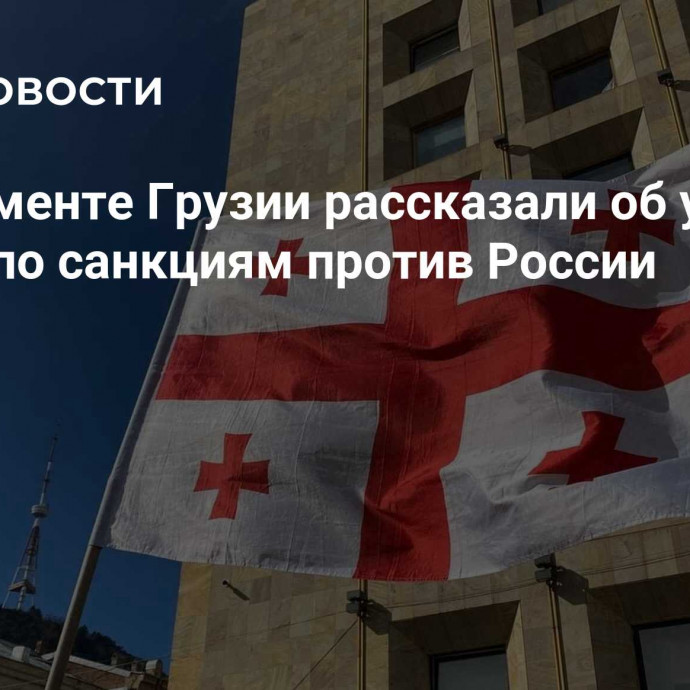 В парламенте Грузии рассказали об уговорах Запада по санкциям против России