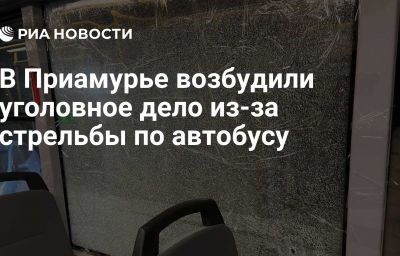 В Приамурье возбудили уголовное дело из-за стрельбы по автобусу