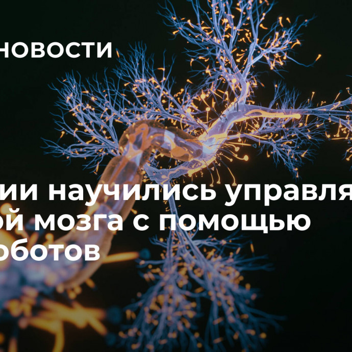 В России научились управлять работой мозга с помощью нанороботов