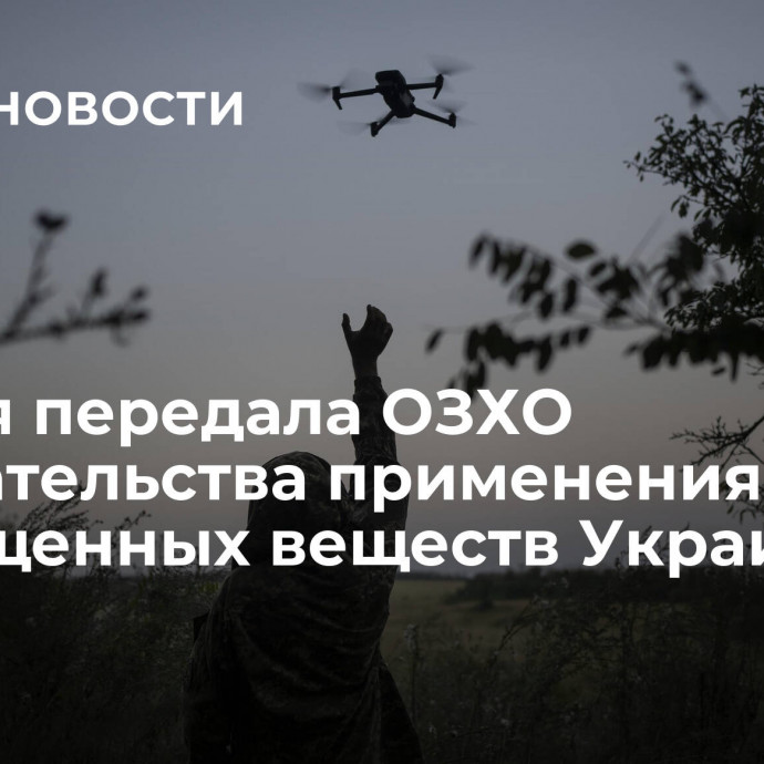 Россия передала ОЗХО доказательства применения запрещенных веществ Украиной