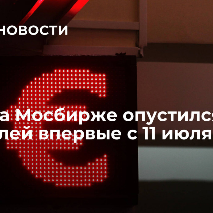 Евро на Мосбирже опустился до 99 рублей впервые с 11 июля