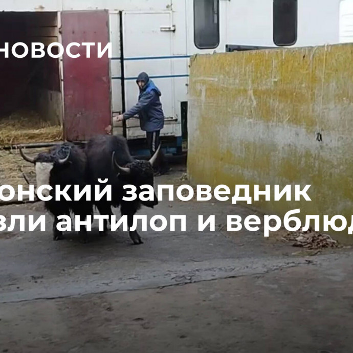 В херсонский заповедник привезли антилоп и верблюдов