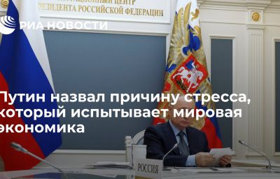 Путин назвал причину стресса, который испытывает мировая экономика