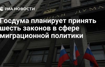 Госдума планирует принять шесть законов в сфере миграционной политики