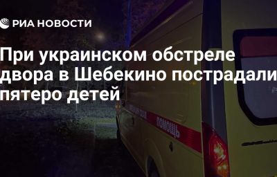 При украинском обстреле двора в Шебекино пострадали пятеро детей