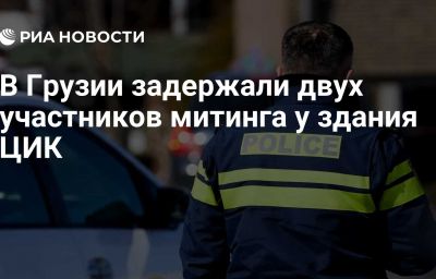 В Грузии задержали двух участников митинга у здания ЦИК