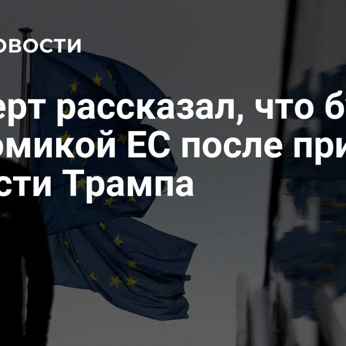 Эксперт рассказал, что будет с экономикой ЕС после прихода к власти Трампа