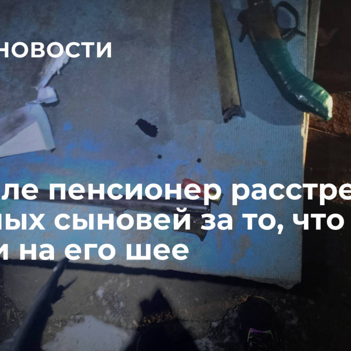 На Урале пенсионер расстрелял взрослых сыновей за то, что сидели на его шее