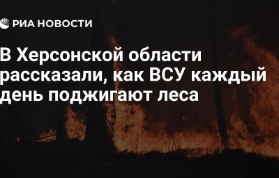 В Херсонской области рассказали, как ВСУ каждый день поджигают леса