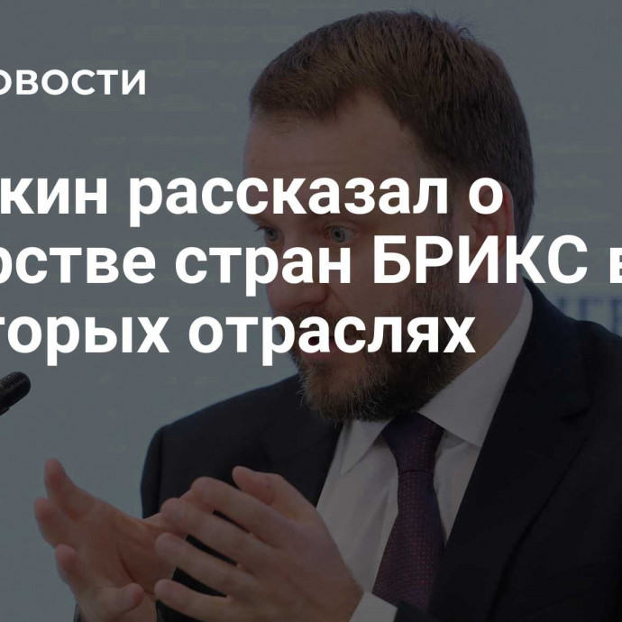 Орешкин рассказал о лидерстве стран БРИКС в некоторых отраслях