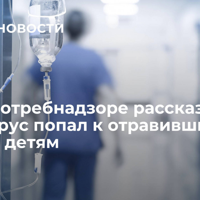 В Роспотребнадзоре рассказали, как вирус попал к отравившимся в Перми детям