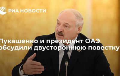 Лукашенко и президент ОАЭ обсудили двустороннюю повестку