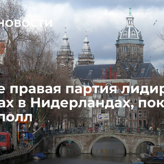 Крайне правая партия лидирует на выборах в Нидерландах, показал экзит-полл