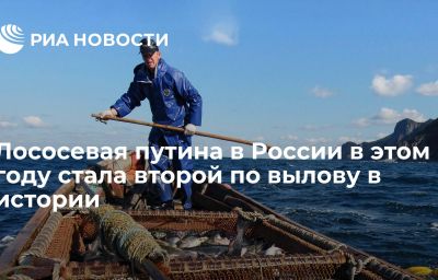 Лососевая путина в России в этом году стала второй по вылову в истории