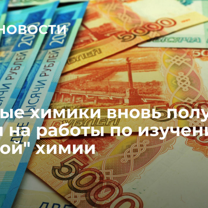 Молодые химики вновь получили гранты на работы по изучению 