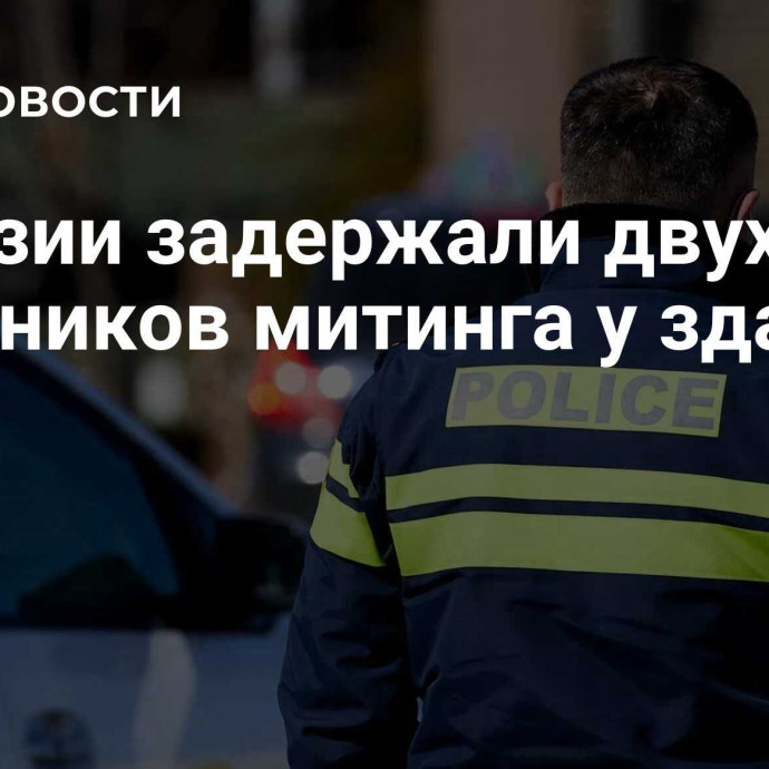 В Грузии задержали двух участников митинга у здания ЦИК