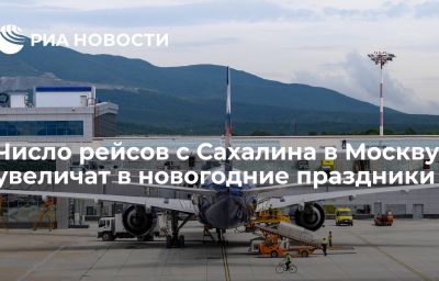 Число рейсов с Сахалина в Москву увеличат в новогодние праздники