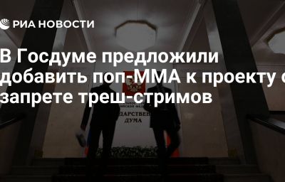 В Госдуме предложили добавить поп-ММА к проекту о запрете треш-стримов