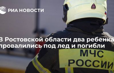 В Ростовской области два ребенка провалились под лед и погибли