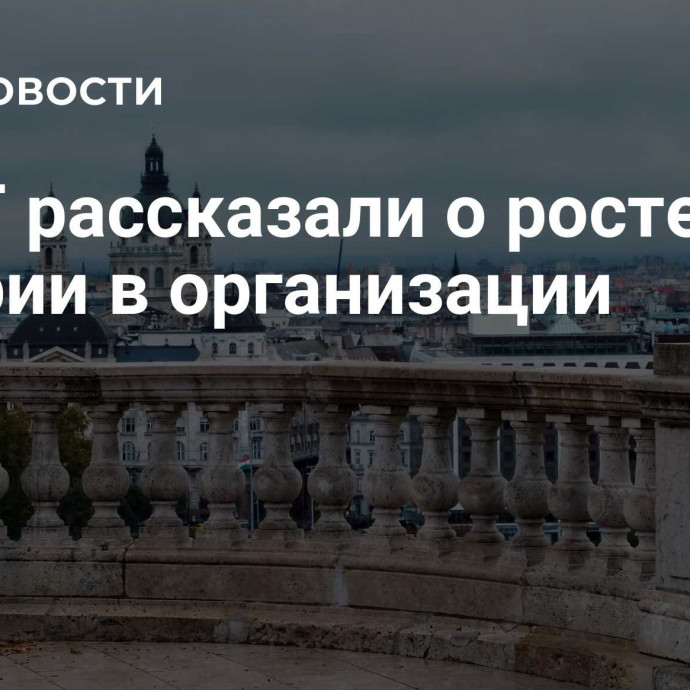 В ОТГ рассказали о росте роли Венгрии в организации