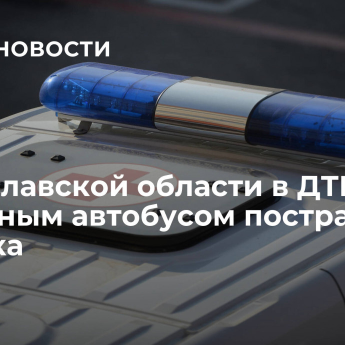 В Ярославской области в ДТП со школьным автобусом пострадала девочка