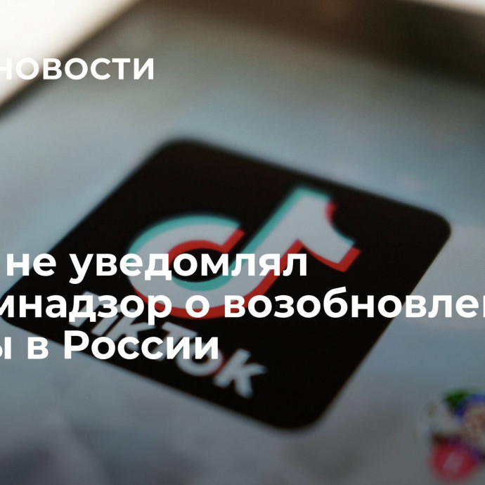 TikTok не уведомлял Роскомнадзор о возобновлении работы в России