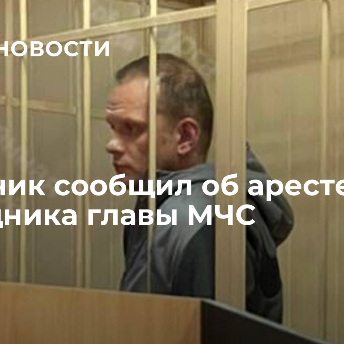 Источник сообщил об аресте помощника главы МЧС