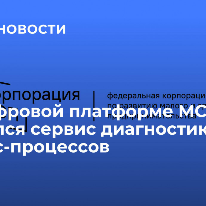 На Цифровой платформе МСП.РФ появился сервис диагностики бизнес-процессов