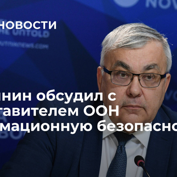 Вершинин обсудил с представителем ООН информационную безопасность