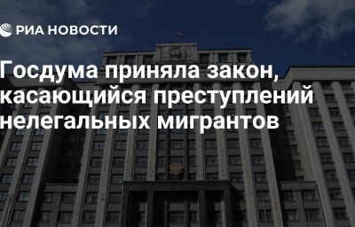 Госдума приняла закон, касающийся преступлений нелегальных мигрантов