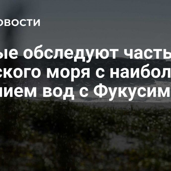 Ученые обследуют часть Охотского моря с наибольшим влиянием вод с Фукусимы